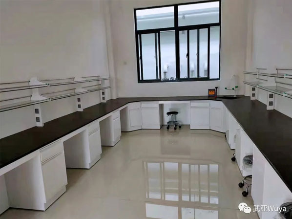 武亞 實驗室案列 | 揚子江藥業(yè)，重新“定義”實驗室 New Space